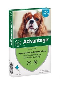 Advantage Hond 100 (4 - 10kg) 4 x 1,0 ml
