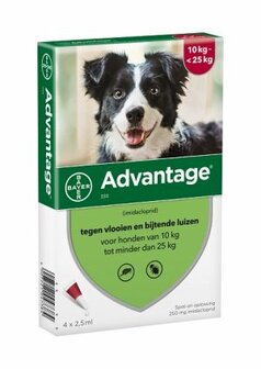 Advantage Hond 250 (10 - 25kg) 4 x 2,5 ml