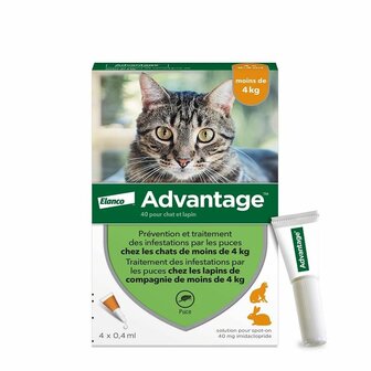 Advantage Kat 40 (tot 4kg) 4 x 0,4 ml